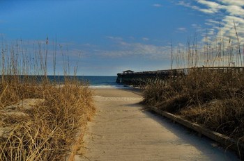 The Complete Crabbing Guide: Myrtle Beach