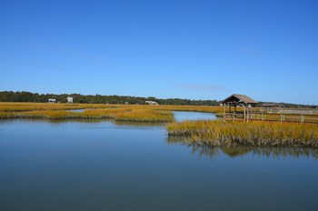 Where to go Crabbing on Pawleys Island SC