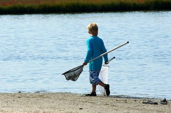 How to Catch a Crab by Hand | Dip Net Crabbing 101