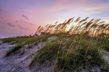 Where to go Crabbing on Hilton Head Island