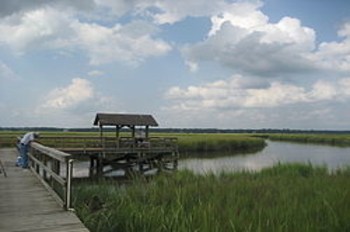 Where to go Crabbing In James Island SC