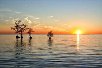 Where to go Crabbing in North Carolina (The Complete Guide)