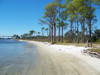 Where to go Crabbing in Pensacola, Florida