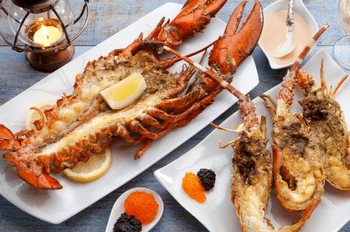 7 Lobster Questions You’re too Afraid to Ask